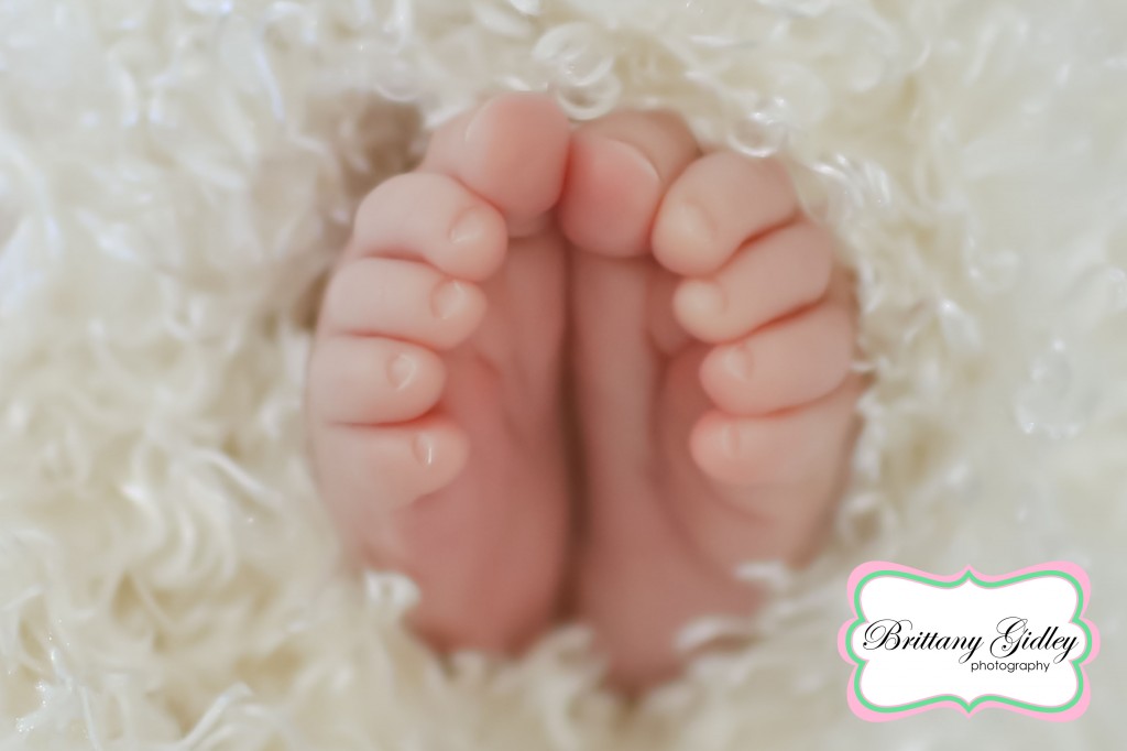 Top Newborn Photographer | Brittany Gidley Photography LLC Top Newborn Photographer | Brittany Gidley Photography LLC