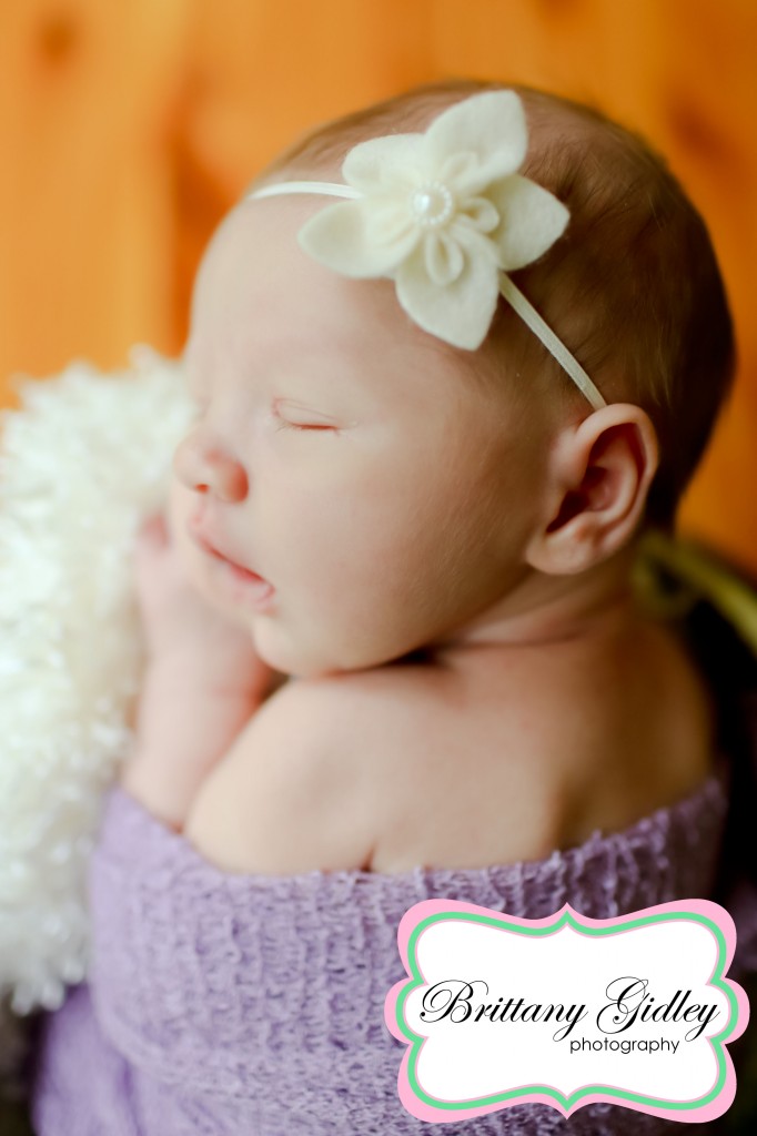 Akron Newborn Photographer | Brittany Gidley Photography LLC Akron Newborn Photographer | Brittany Gidley Photography LLC