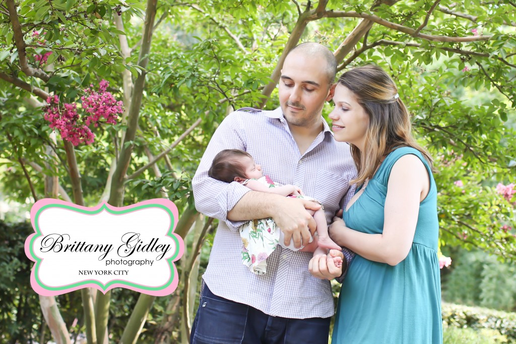 New York City Family Photographer | Brittany Gidley Photography LLC shop affordable wedding veils