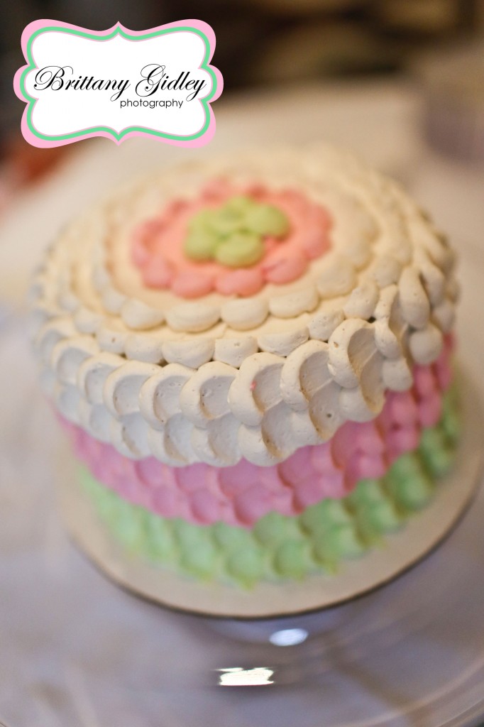 1st Birthday Photographer | Brittany Gidley Photography LLC 1st Birthday Photographer | Brittany Gidley Photography LLC