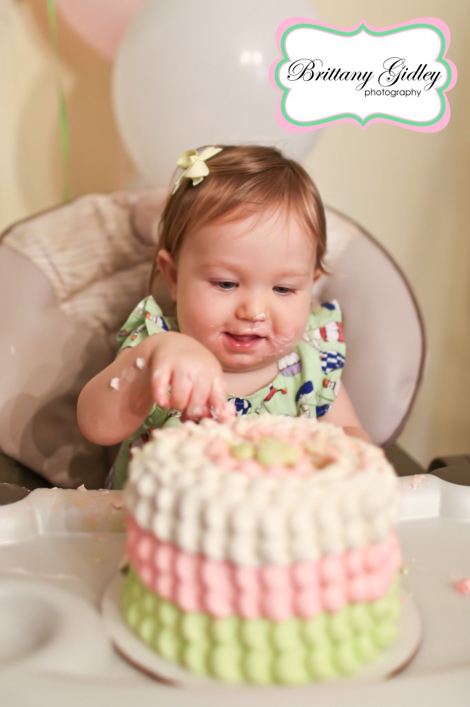 Birthday Photography | Brittany Gidley Photography LLC Birthday Photography | Brittany Gidley Photography LLC