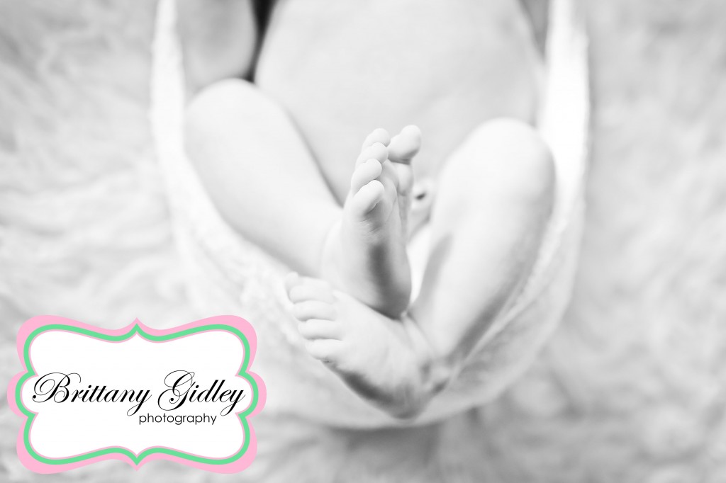 Newborn Baby Photographer | Brittany Gidley Photography LLC Newborn Baby Photographer | Brittany Gidley Photography LLC