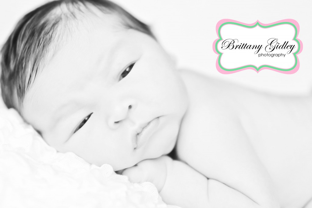 Avon Newborn Baby Photographer | Brittany Gidley Photography LLC Avon Newborn Baby Photographer | Brittany Gidley Photography LLC