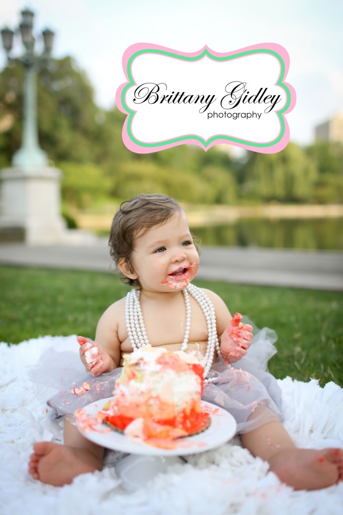 12 Month Cake Smash | Brittany Gidley Photography LLC 12 Month Cake Smash | Brittany Gidley Photography LLC