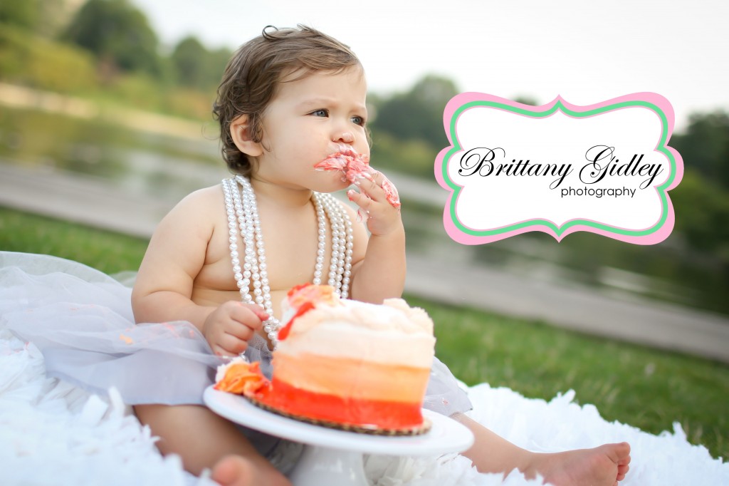 12 Month Cake Smash | Brittany Gidley Photography LLC 12 Month Cake Smash | Brittany Gidley Photography LLC