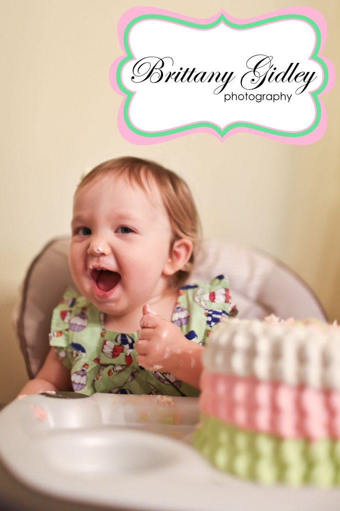 Birthday Photography | Brittany Gidley Photography LLC Birthday Photography | Brittany Gidley Photography LLC