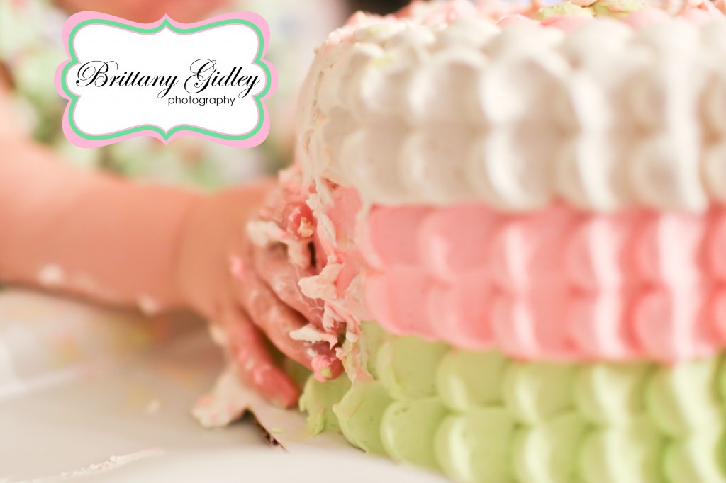 Baby Birthday Party Pink Green | Brittany Gidley Photography LLC Baby Birthday Party Pink Green | Brittany Gidley Photography LLC