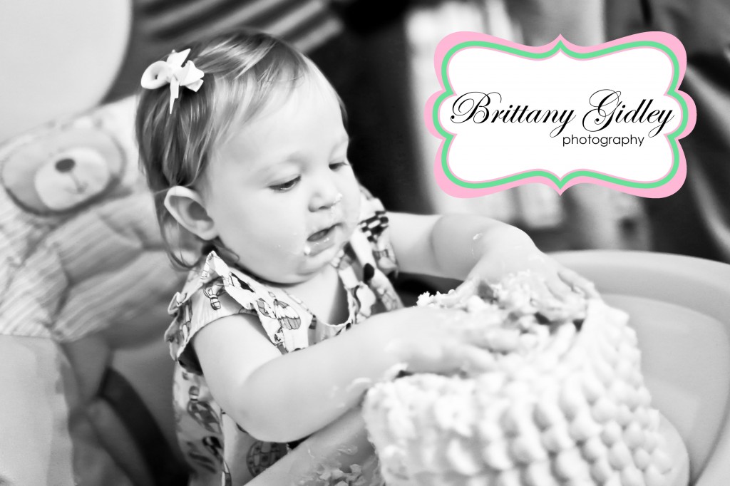First Birthday Smash Cake | Brittany Gidley Photography LLC First Birthday Smash Cake | Brittany Gidley Photography LLC