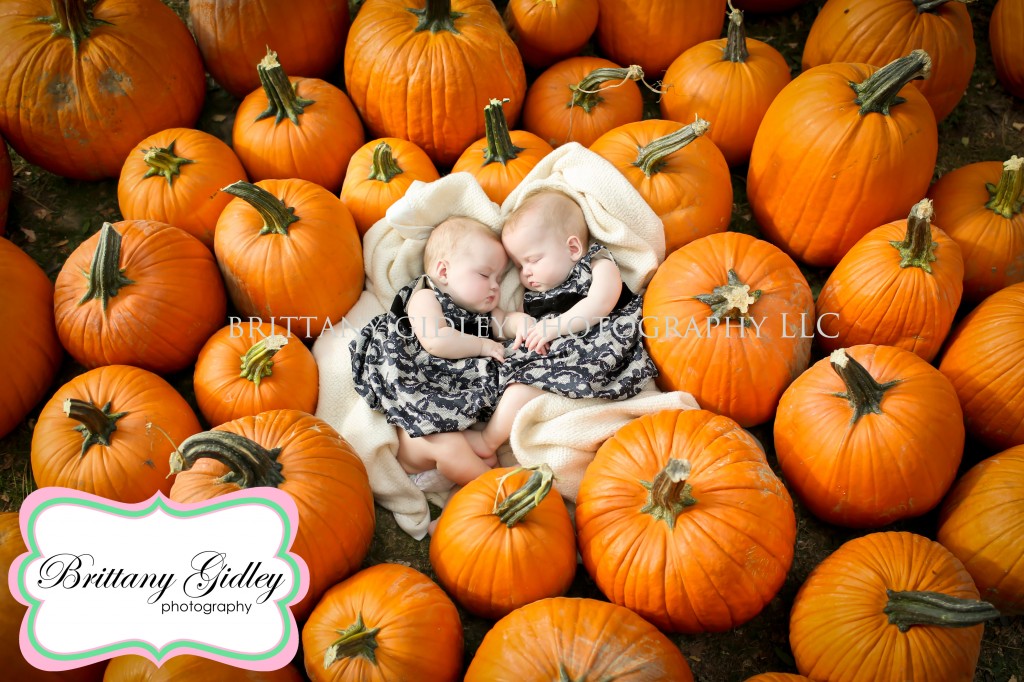 Twin Baby Photographer | Brittany Gidley Photography LLC