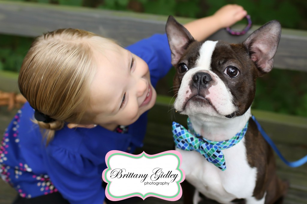 Top Pet Photographer | Brittany Gidley Photography LLC Top Pet Photographer | Brittany Gidley Photography LLC