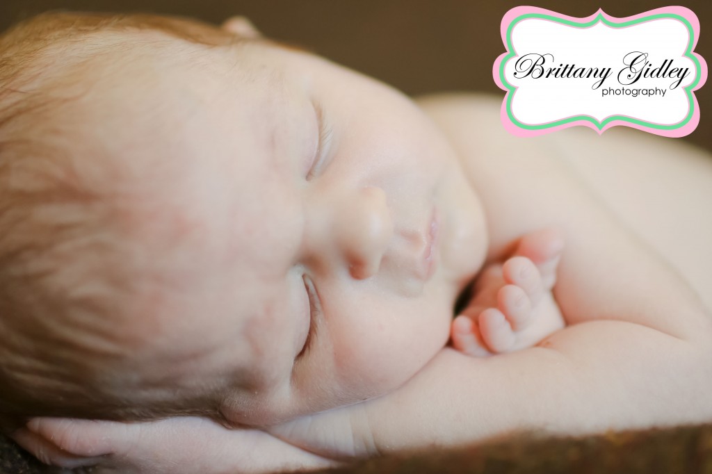 Top Newborn Photographer | Brittany Gidley Photography LLC Top Newborn Photographer | Brittany Gidley Photography LLC