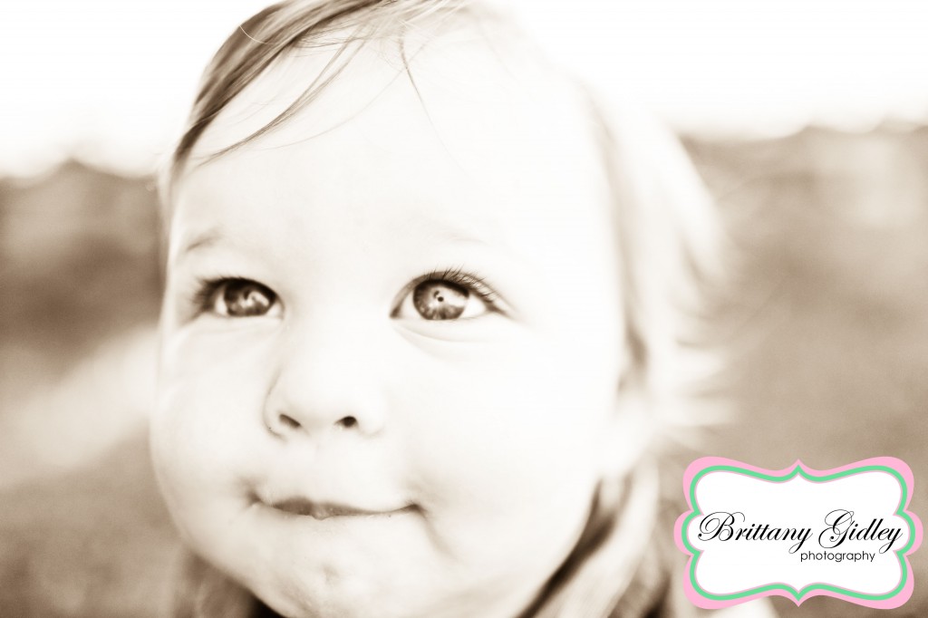 One Year Baby and Family | Brittany Gidley Photography LLC