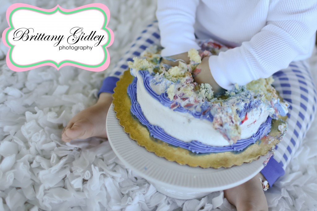 12 Month Baby Cake Smash | Brittany Gidley Photography LLC