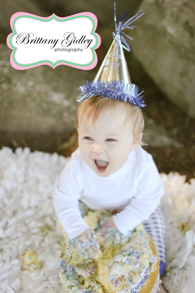 12 Month Baby Cake Smash | Brittany Gidley Photography LLC`