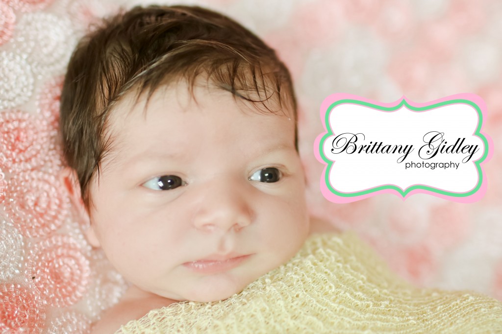 Beachwood Newborn Photographer | Brittany Gidley Photography LLC Beachwood Newborn Photographer | Brittany Gidley Photography LLC