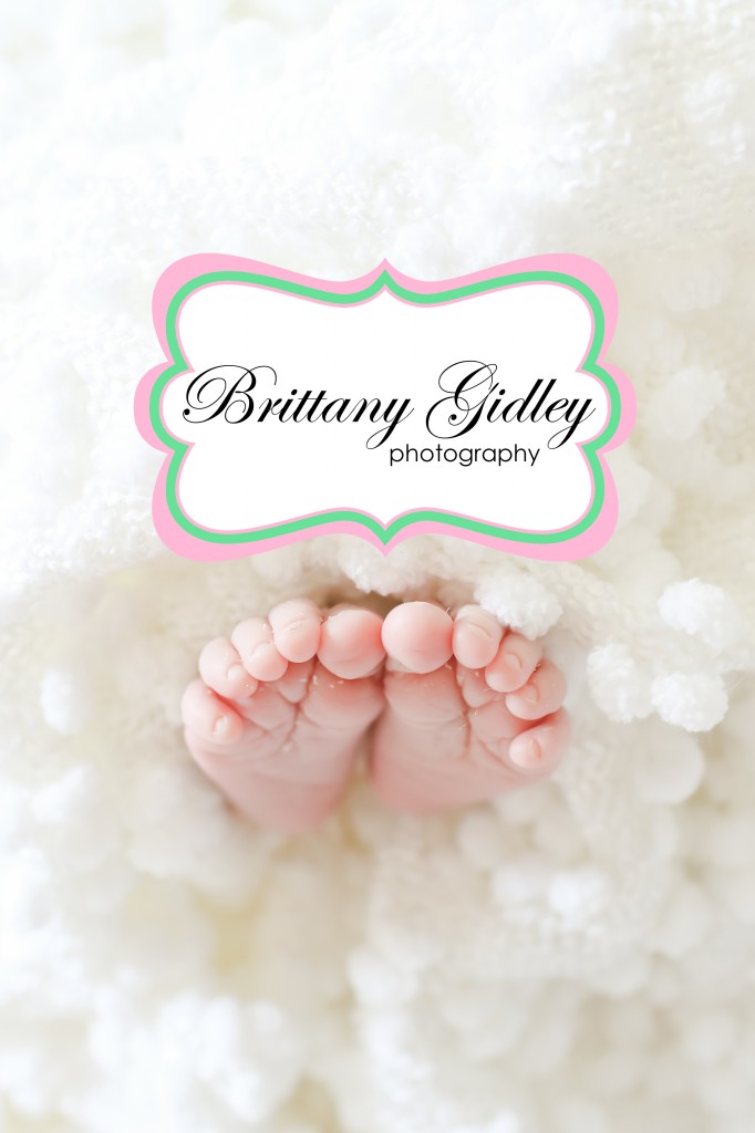 Chardon Newborn Baby Photographer | Brittany Gidley Photography LLC
