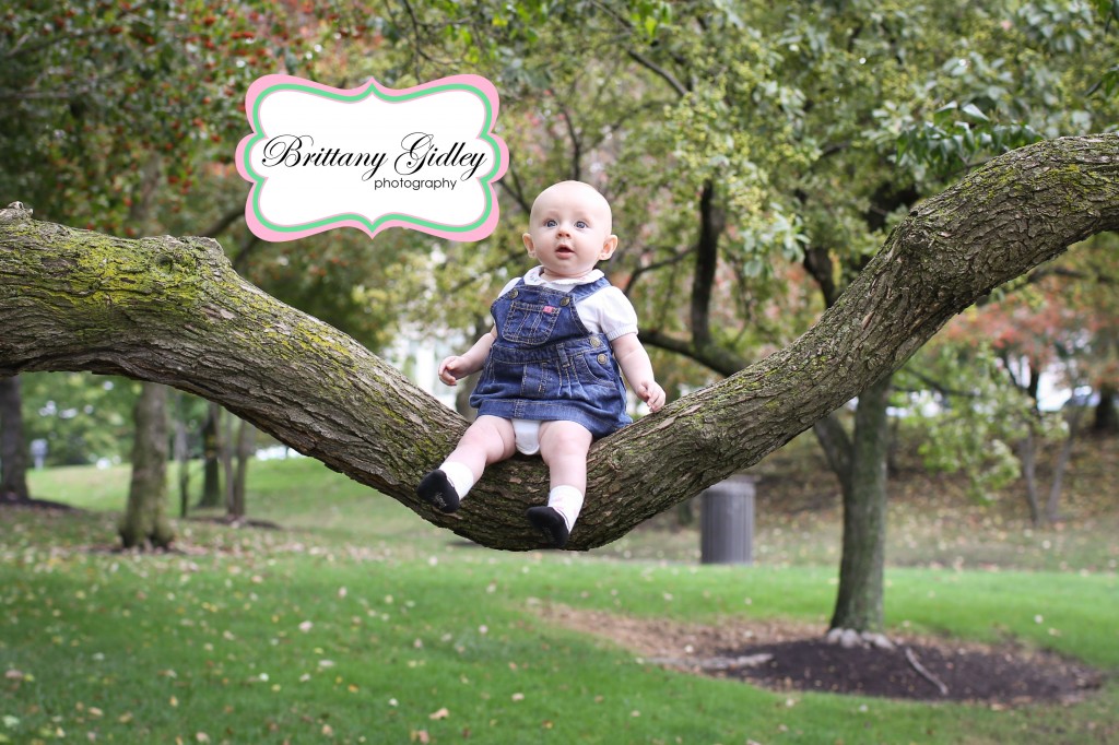 3 Month Old Baby On Branch | Brittany Gidley Photography LLC