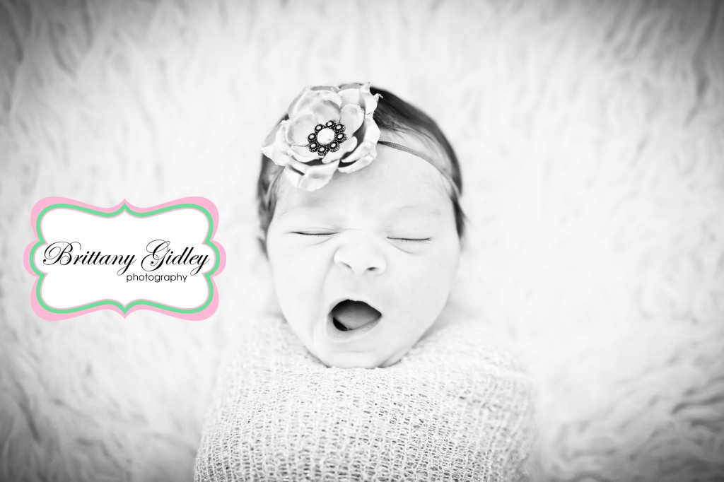 Bratenahl Newborn Photographer | Brittany Gidley Photography LLC Bratenahl Newborn Photographer | Brittany Gidley Photography LLC
