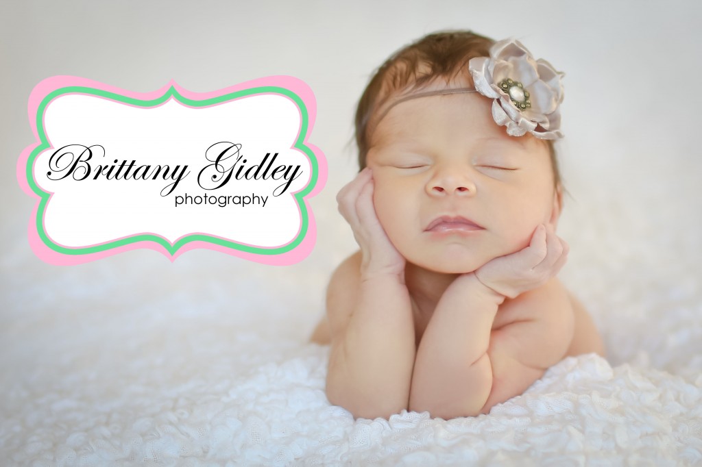 Bratenahl Newborn Photography | Brittany Gidley Photography LLC Bratenahl Newborn Photography | Brittany Gidley Photography LLC