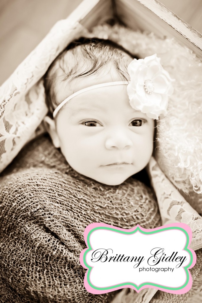 Bratenahl Newborn Photography | Brittany Gidley Photography LLC Bratenahl Newborn Photography | Brittany Gidley Photography LLC