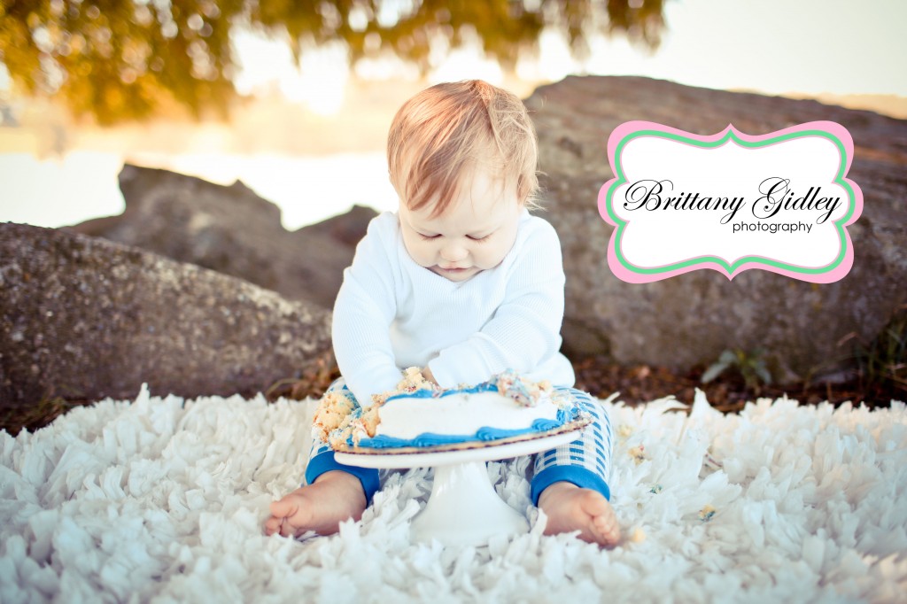 12 Month Baby Cake Smash | Brittany Gidley Photography LLC