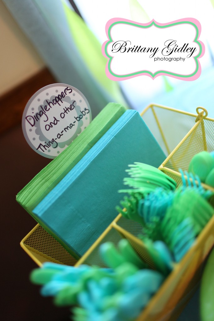 First Birthday | Brittany Gidley Photography LLC First Birthday | Brittany Gidley Photography LLC