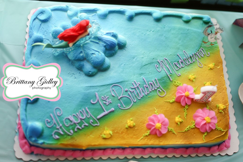 First Birthday Cake | Brittany Gidley Photography LLC First Birthday Cake | Brittany Gidley Photography LLC