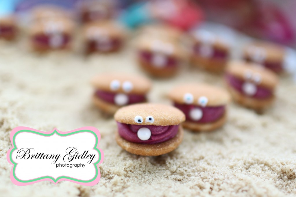 First Birthday | Brittany Gidley Photography LLC First Birthday | Brittany Gidley Photography LLC