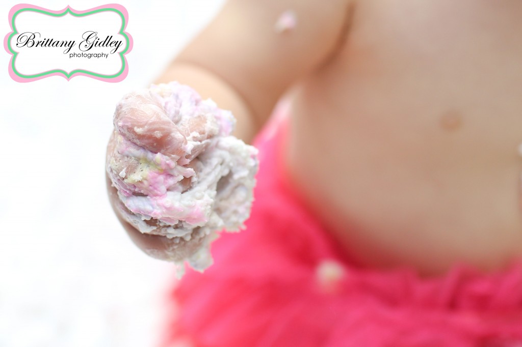 Cake Smash | Brittany Gidley Photography LLC Cake Smash | Brittany Gidley Photography LLC