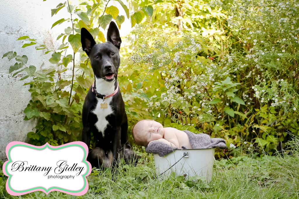 Newborn Photography | Brittany Gidley Photography LLC Newborn Photography | Brittany Gidley Photography LLC