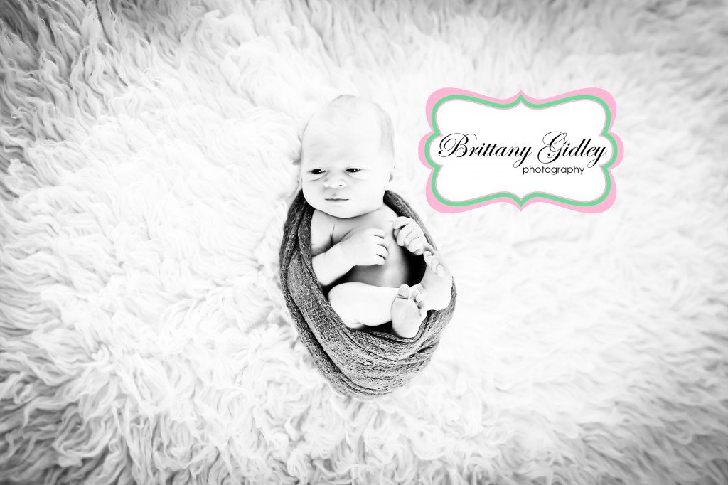 Medina Newborn Photographer | Brittany Gidley Photography LLC Medina Newborn Photographer | Brittany Gidley Photography LLC