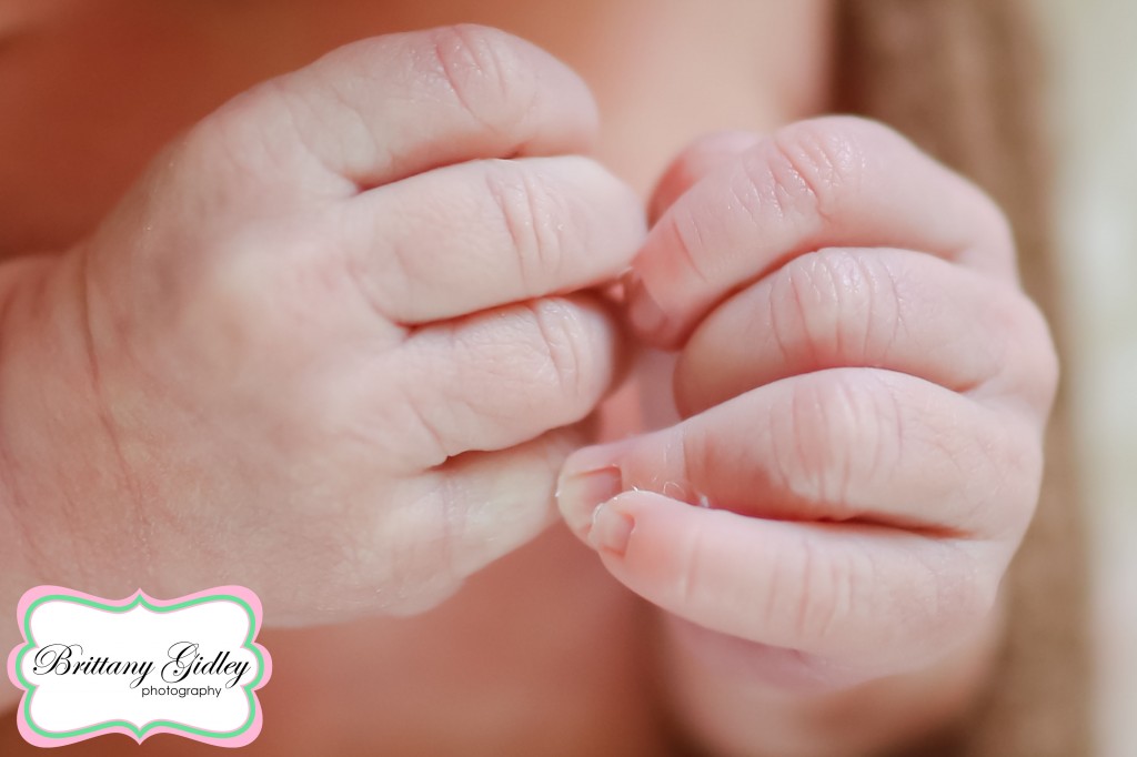 Medina Newborn Photographer | Brittany Gidley Photography LLC Medina Newborn Photographer | Brittany Gidley Photography LLC