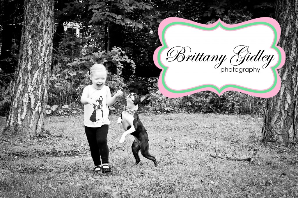 Top Pet Photographer | Brittany Gidley Photography LLC Top Pet Photographer | Brittany Gidley Photography LLC