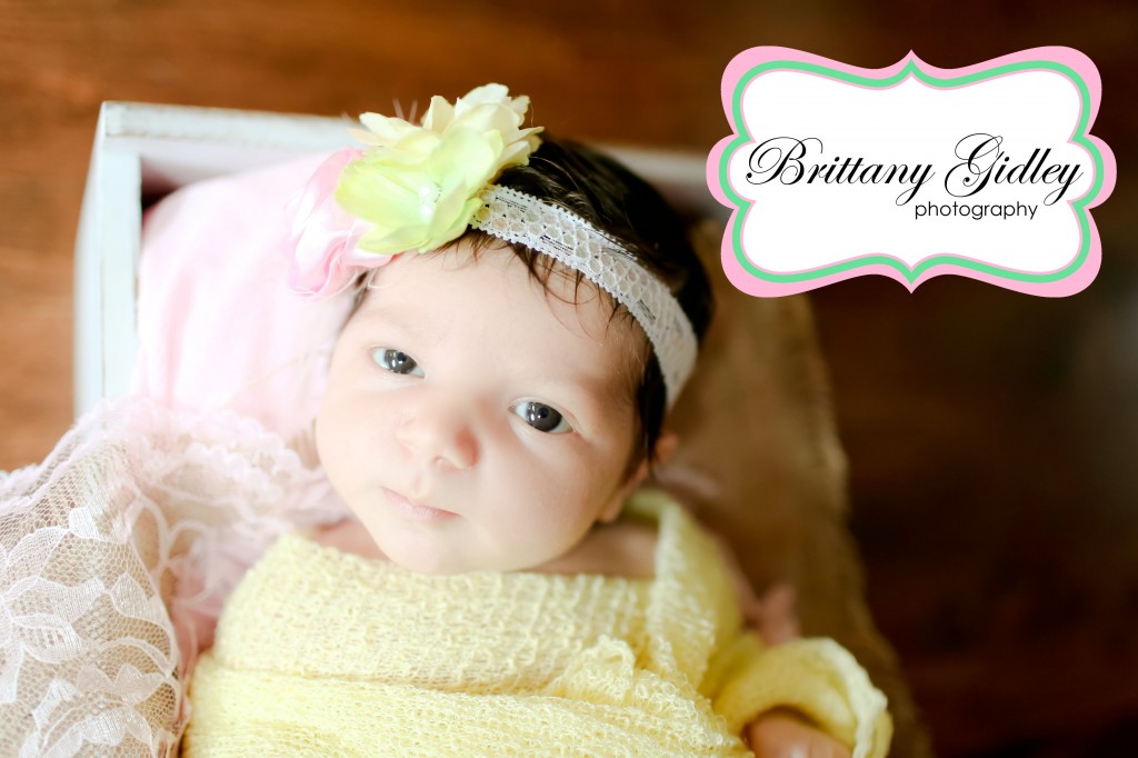 Beachwood Newborn Photographer | Brittany Gidley Photography LLC Beachwood Newborn Photographer | Brittany Gidley Photography LLC
