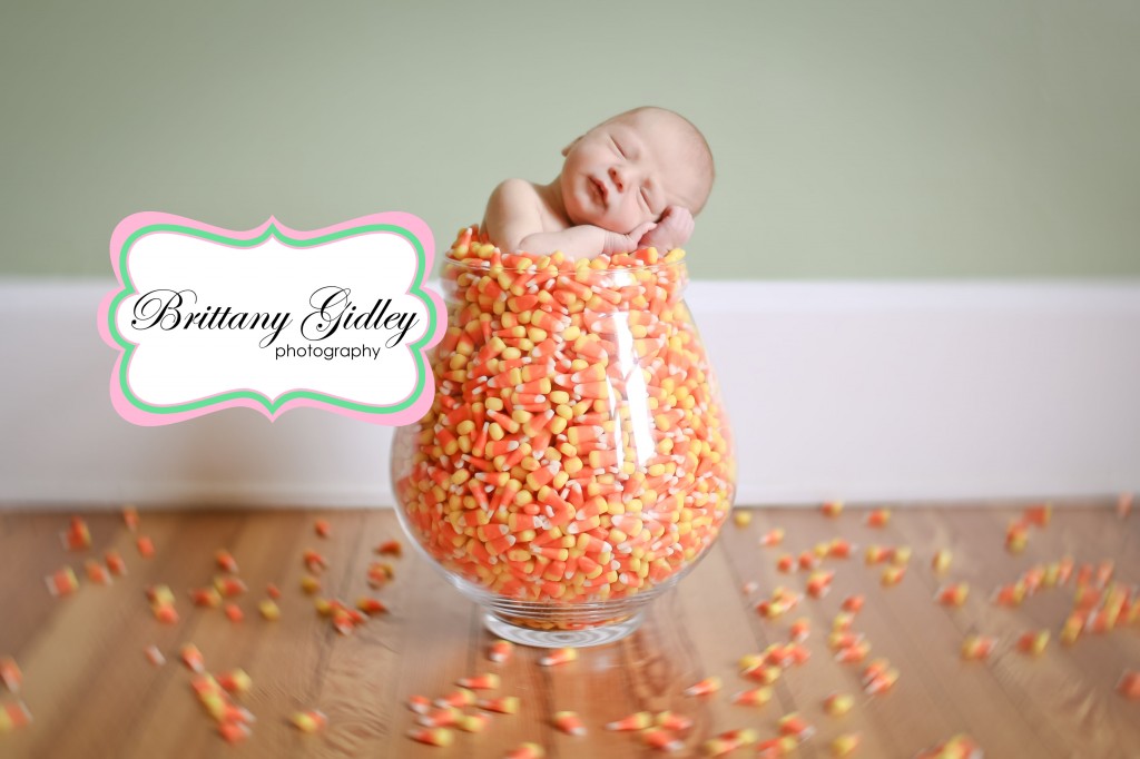 Newborn Photographer Ohio | Brittany Gidley Photography LLC Newborn Photographer Ohio | Brittany Gidley Photography LLC