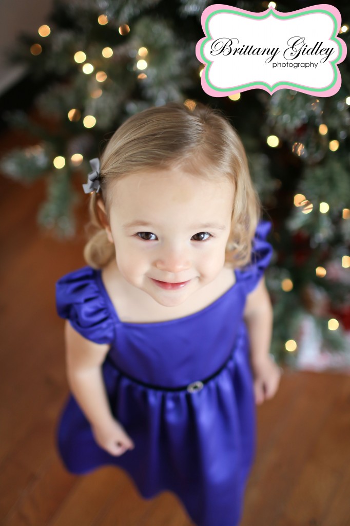Toddler Photography | Brittany Gidley Photography LLC Toddler Photography | Brittany Gidley Photography LLC