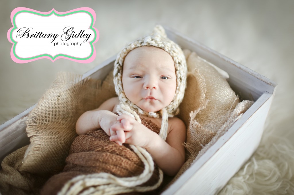 Akron Ohio Newborn Photography | Brittany Gidley Photography LLC Akron Ohio Newborn Photography | Brittany Gidley Photography LLC