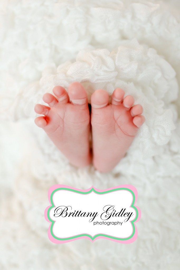 Chagrin Falls Newborn Photographer | Brittany Gidley Photography LLC