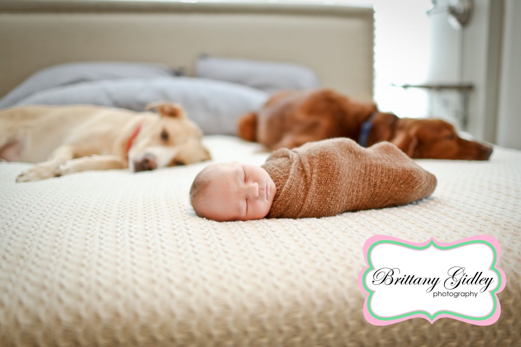 Akron Ohio Newborn Photographer | Brittany Gidley Photography LLC Akron Ohio Newborn Photographer | Brittany Gidley Photography LLC