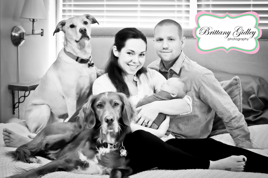 Akron Ohio Newborn Photographer | Brittany Gidley Photography LLC Akron Ohio Newborn Photographer | Brittany Gidley Photography LLC