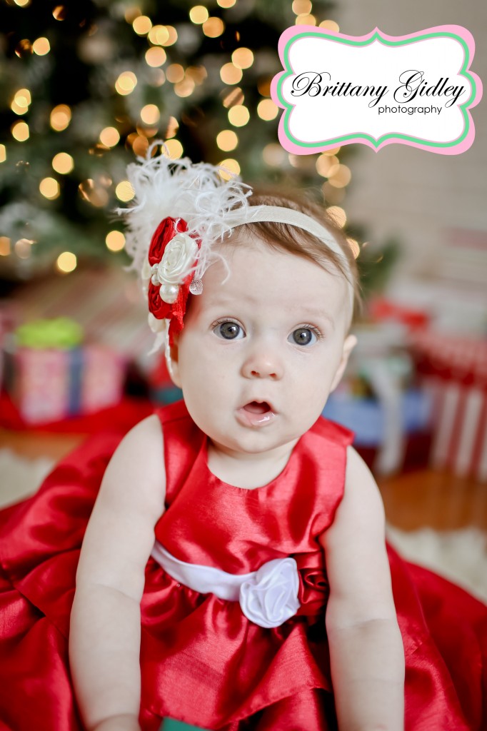 6 Month Baby | Brittany Gidley Photography LLC