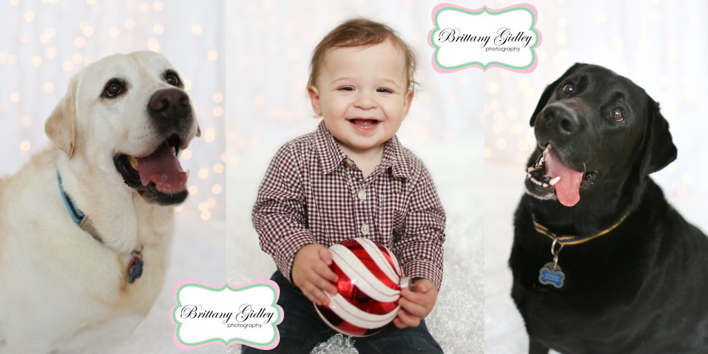 Cleveland's Top Photographer | Brittany Gidley Photography LLC Cleveland's Top Photographer | Brittany Gidley Photography LLC