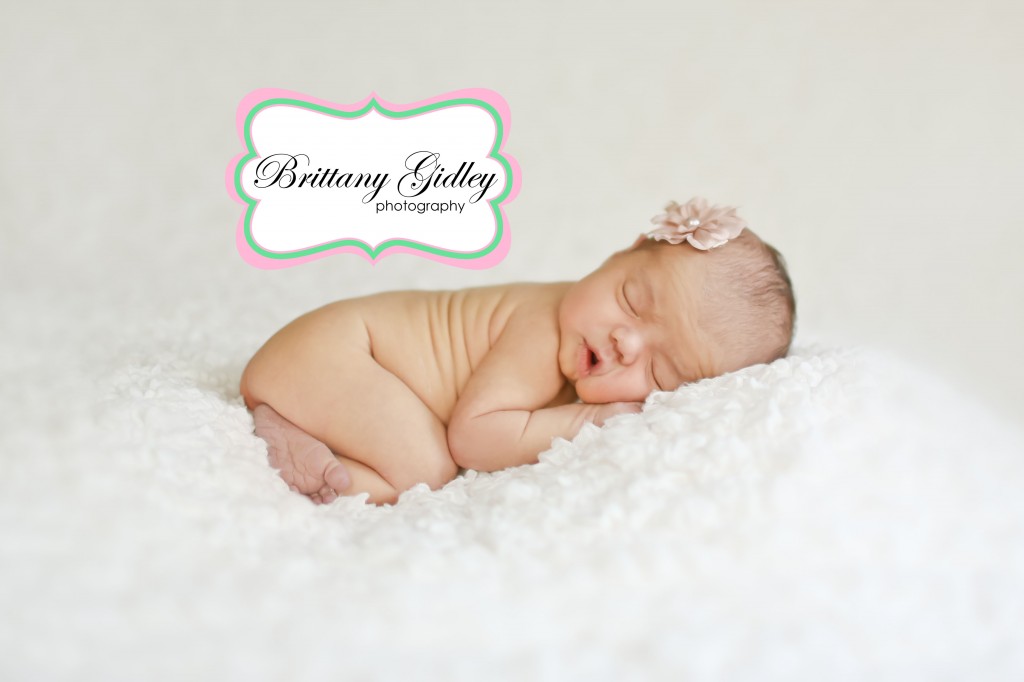 Best Newborn Photographer | Brittany Gidley Photography LLC Best Newborn Photographer | Brittany Gidley Photography LLC