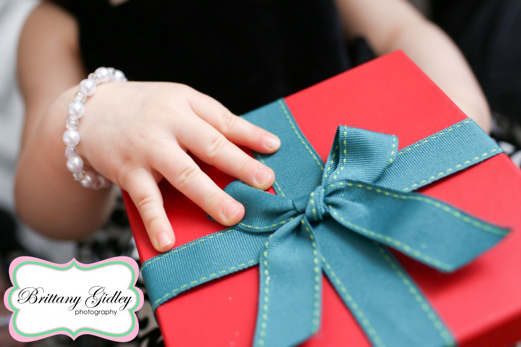 Holiday Mini Sessions | Brittany Gidley Photography LLC