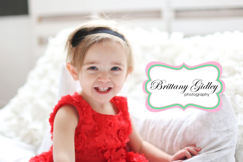 Holiday Mini Sessions | Brittany Gidley Photography LLC