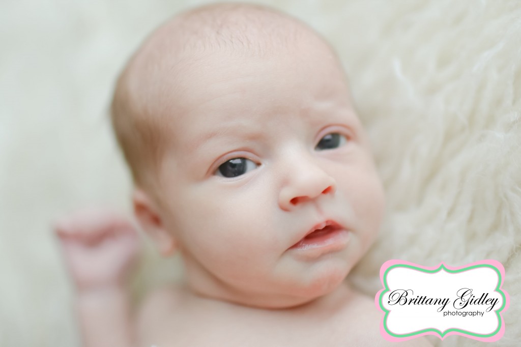 Newborn Photographer | Brittany Gidley Photography LLC Newborn Photographer | Brittany Gidley Photography LLC