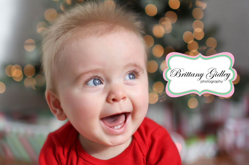 Cleveland Holiday Photographer | Brittany Gidley Photography LLC Cleveland Holiday Photographer | Brittany Gidley Photography LLC