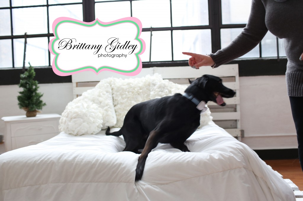 Bloopers! | Holiday Mini Sessions | Brittany Gidley Photography LLC | Cleveland, OH