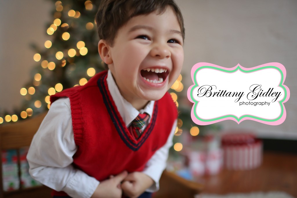 Cleveland Toddler Photography | Brittany Gidley Photography LLC