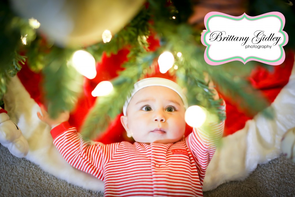 Cleveland Holiday Photography | Brittany Gidley Photography LLC Cleveland Holiday Photography | Brittany Gidley Photography LLC